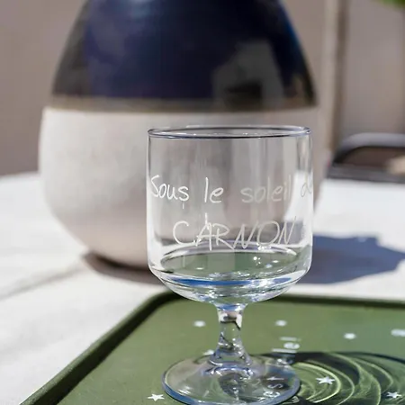 Chez Misha - Sublime Maison Climatisee A 100m Des Plages De Carnon *